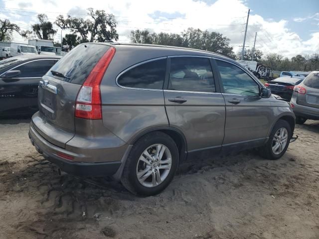 2010 Honda CR-V EXL