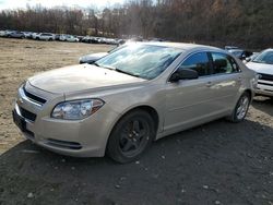 Salvage cars for sale at Marlboro, NY auction: 2009 Chevrolet Malibu LS