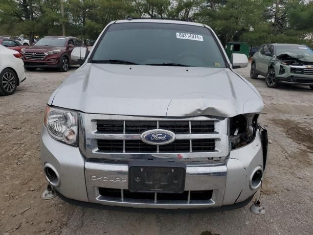 2011 Ford Escape Limited