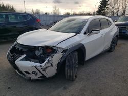 Lexus ux 250h salvage cars for sale: 2019 Lexus UX 250H