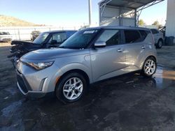 Salvage cars for sale at Albuquerque, NM auction: 2023 KIA Soul LX