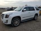 2016 Cadillac Escalade