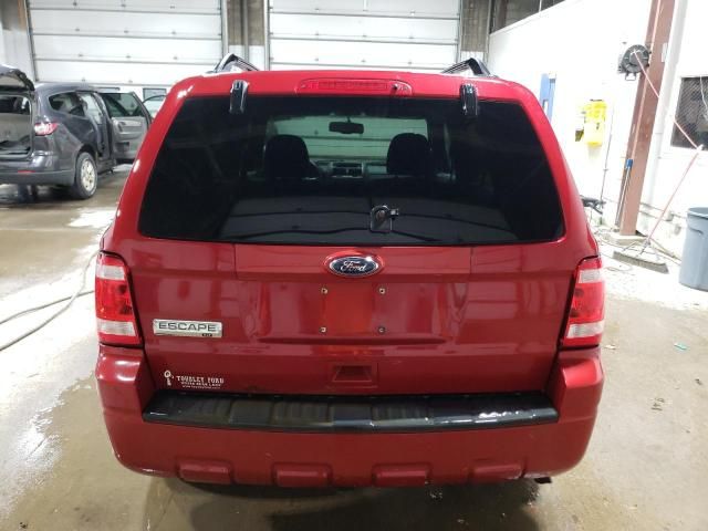 2010 Ford Escape XLT