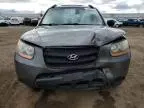 2009 Hyundai Santa FE GLS