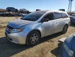 Honda Vehiculos salvage en venta: 2013 Honda Odyssey EXL