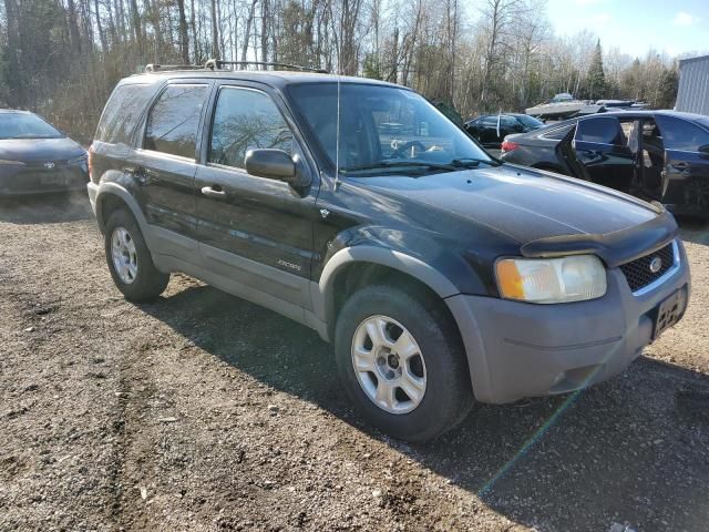 2001 Ford Escape XLT