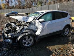 Salvage Cars with No Bids Yet For Sale at auction: 2014 Ford Escape SE