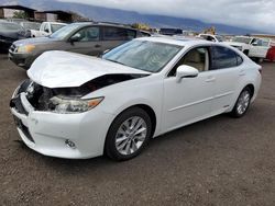 Salvage cars for sale at Kapolei, HI auction: 2014 Lexus ES 300H