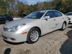 2004 Lexus ES 330