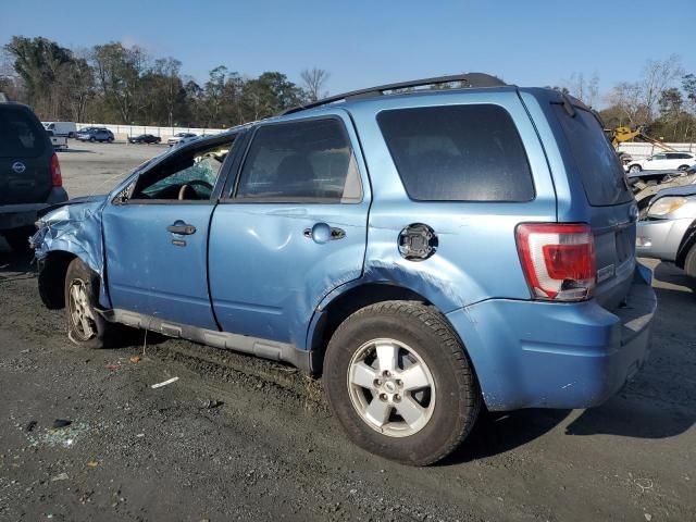 2009 Ford Escape XLT