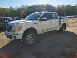 Salvage cars for sale from Copart Grenada, MS: 2010 Ford F150 Supercrew