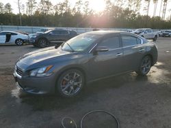 Nissan salvage cars for sale: 2013 Nissan Maxima S