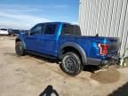 2018 Ford F150 Raptor