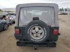 1995 Jeep Wrangler / YJ S