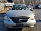 2001 Nissan Maxima GXE