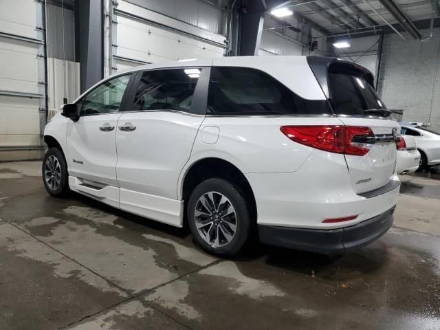 2023 Honda Odyssey EXL