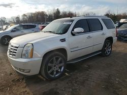 Salvage cars for sale at Chalfont, PA auction: 2008 Cadillac Escalade Luxury