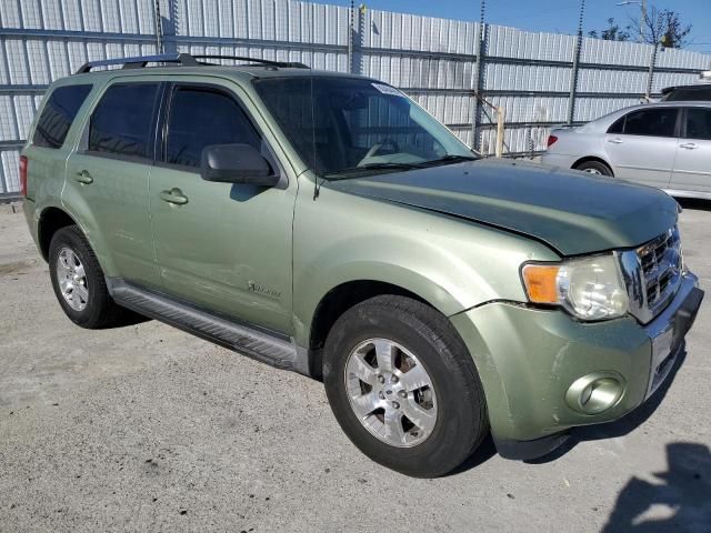 2009 Ford Escape Hybrid