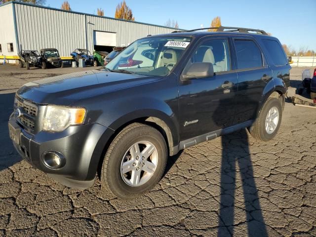 2010 Ford Escape Hybrid