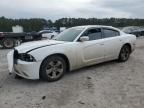 2013 Dodge Charger SE