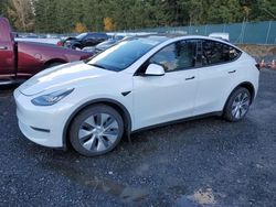 Lots with Bids for sale at auction: 2022 Tesla Model Y