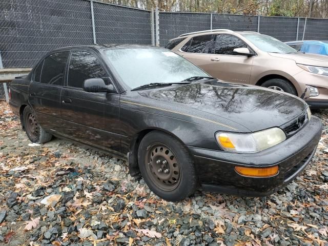 1997 Toyota Corolla DX