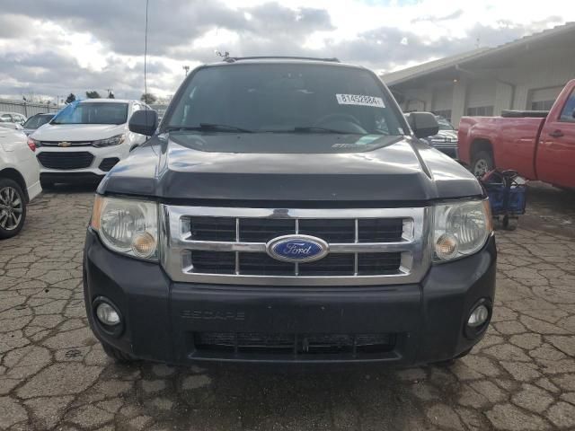 2012 Ford Escape XLT