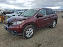 Salvage cars for sale at Helena, MT auction: 2013 Honda CR-V EXL