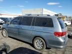 2008 Honda Odyssey EXL