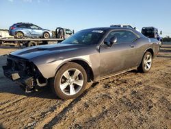 Salvage cars for sale at Conway, AR auction: 2019 Dodge Challenger SXT