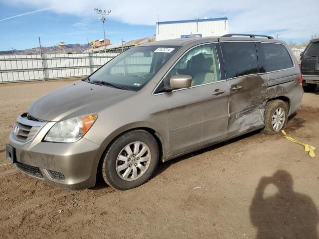 2010 Honda Odyssey EXL