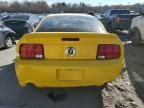 2005 Ford Mustang GT