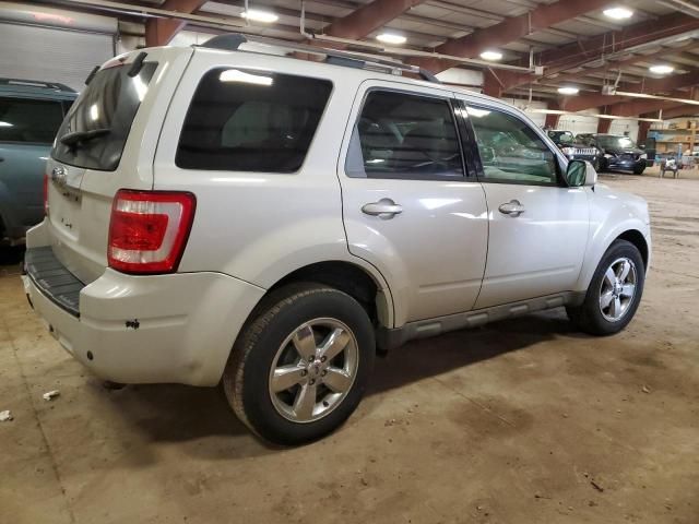 2009 Ford Escape Limited