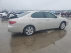 2006 Lexus ES 330