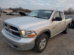 Dodge Vehiculos salvage en venta: 2010 Dodge RAM 1500