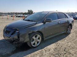 Salvage cars for sale at Antelope, CA auction: 2009 Toyota Corolla XRS