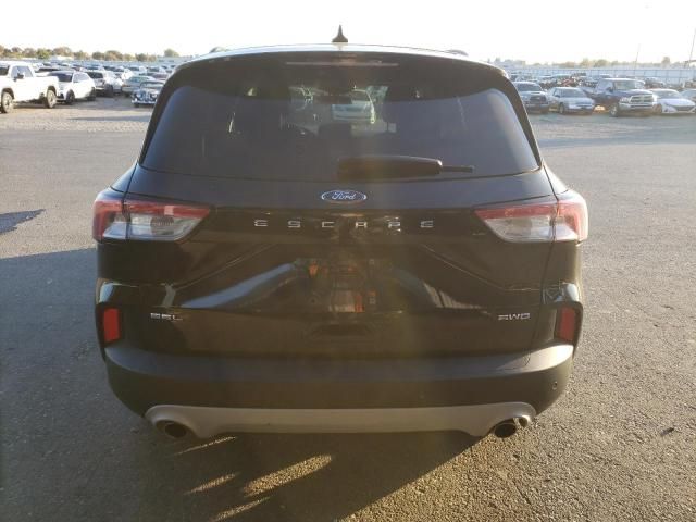 2021 Ford Escape SEL