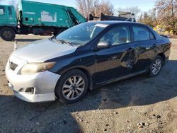 Salvage cars for sale at Baltimore, MD auction: 2010 Toyota Corolla Base