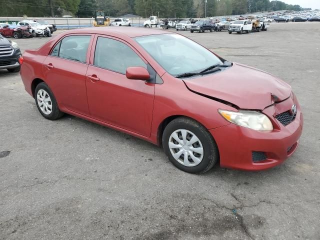 2010 Toyota Corolla Base