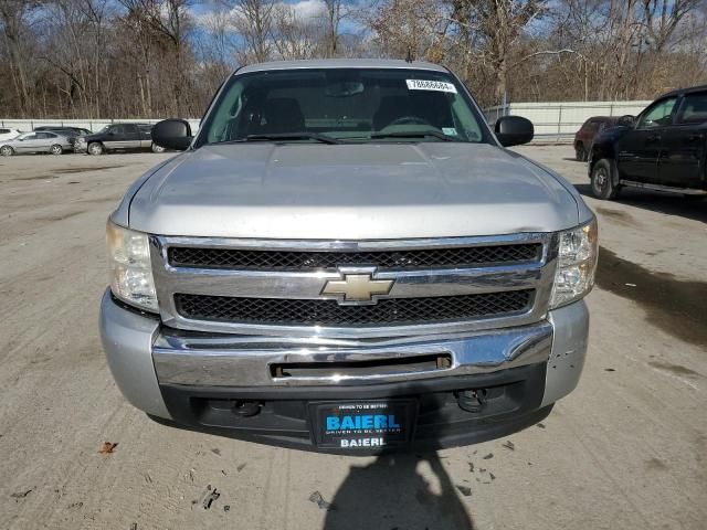 2010 Chevrolet Silverado K1500 LS