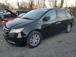 Honda salvage cars for sale: 2014 Honda Odyssey EXL