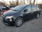 2014 Honda Odyssey EXL