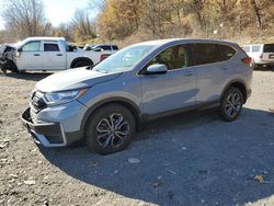 Salvage cars for sale at Marlboro, NY auction: 2020 Honda CR-V EX