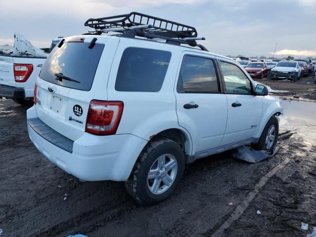 2009 Ford Escape Hybrid