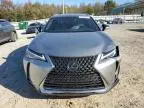 2019 Lexus UX 200