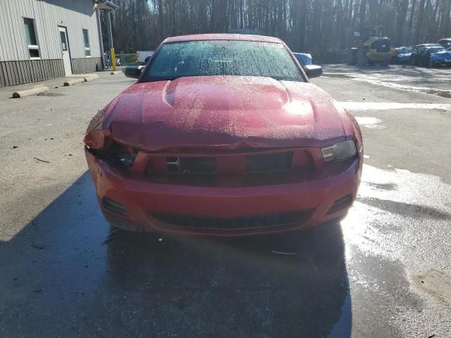 2010 Ford Mustang