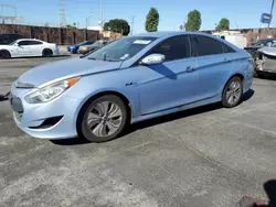 Hyundai salvage cars for sale: 2013 Hyundai Sonata Hybrid