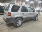 2007 Ford Escape XLT