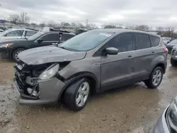 2013 Ford Escape SE en venta en Louisville, KY