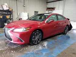 Lexus Vehiculos salvage en venta: 2023 Lexus ES 350 Base